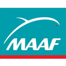 logo maaf