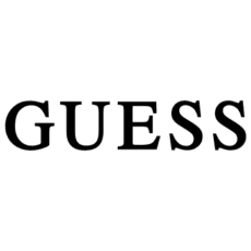 logo guess